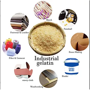 Manufacturer sale halal food grade gelatin powder 250 Bloom 280 Bloom for sweets ice cream